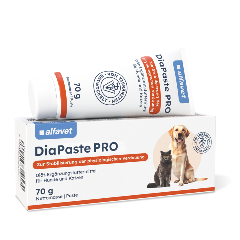 DiaPaste PRO product pack